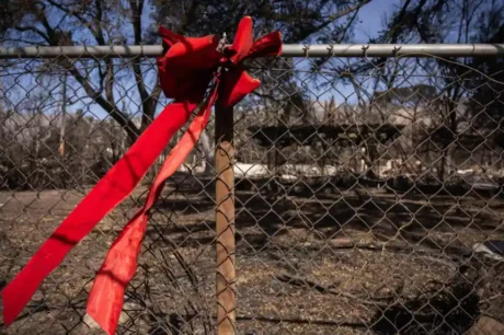 The Koepplinger Family